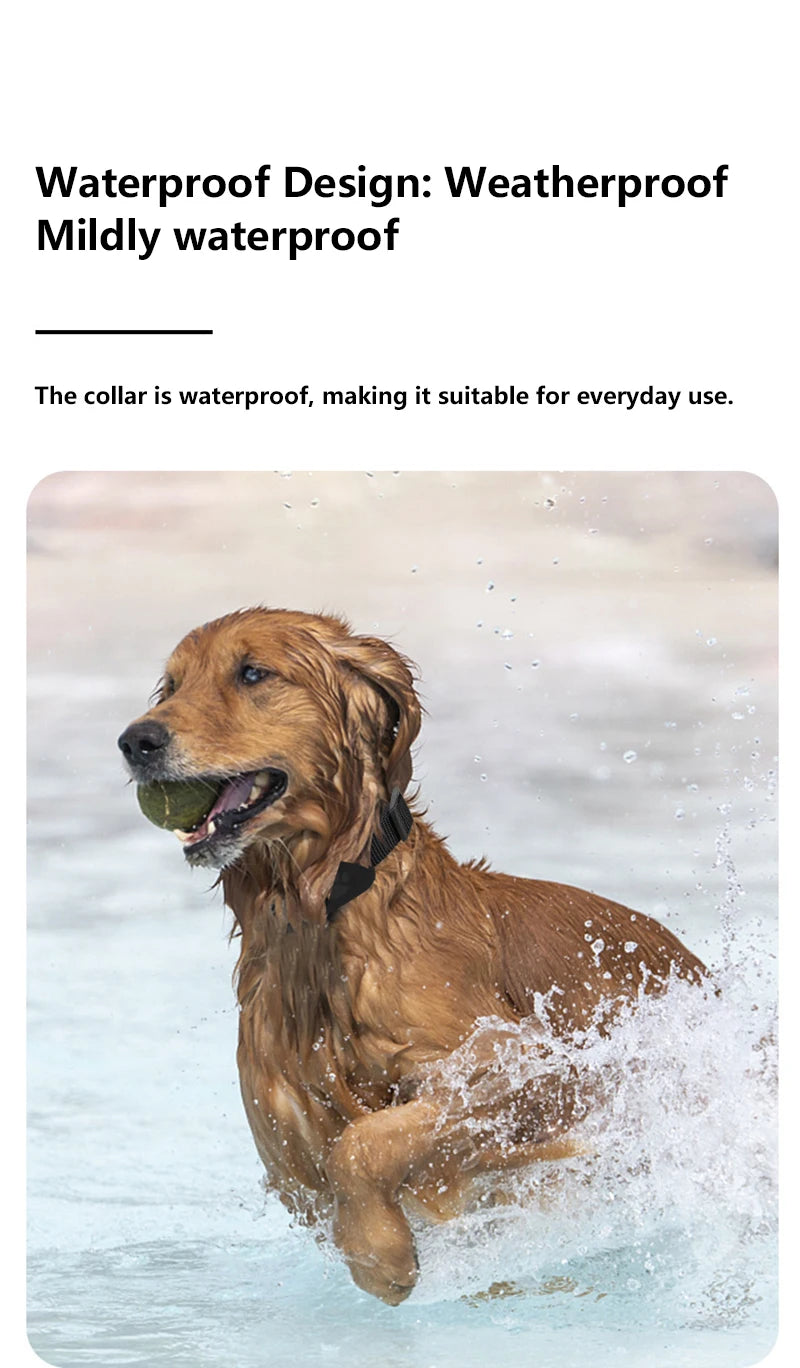 New Pet GPS Tracker Collar for pet