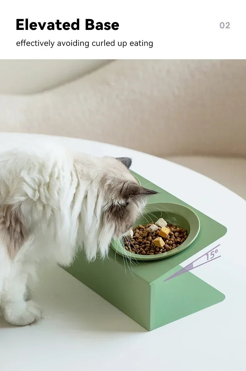 Pet Elevated Raised Food Water Bowls