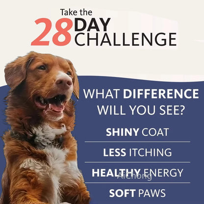 8 fl oz 200ML PET SALMON OIL