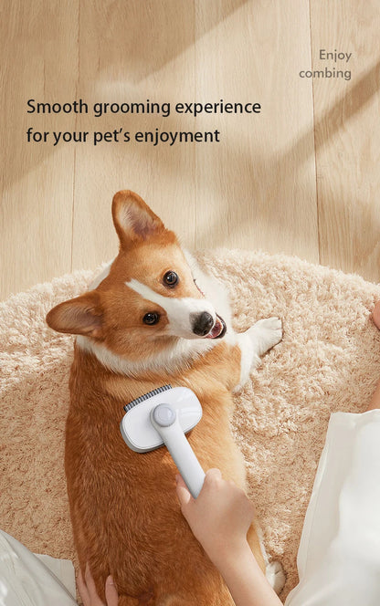 Dual-Sided Pet Hair Brush