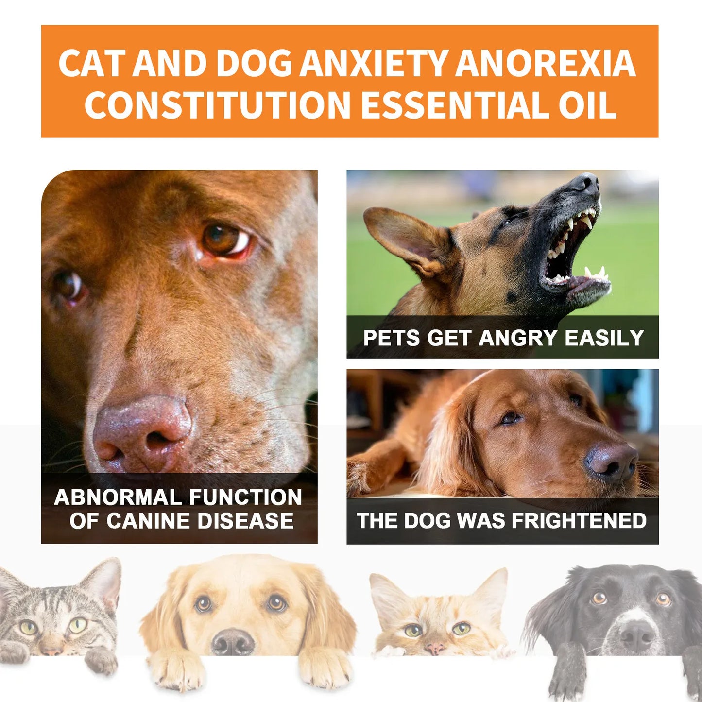 30ml Calming Oil For Dog Calming