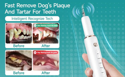 Electric Pet Ultrasonic Dental Cleaner