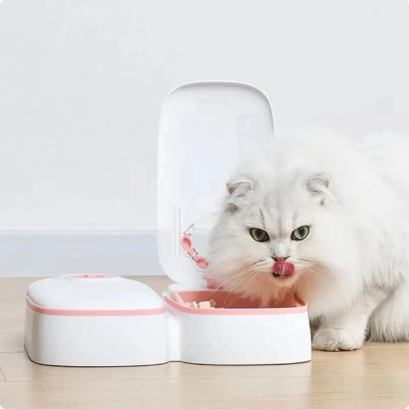 Single Automatic Pet Food Dispenser Bowl