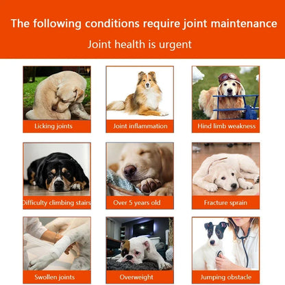 NEW Pet Dog Bone Strengthening