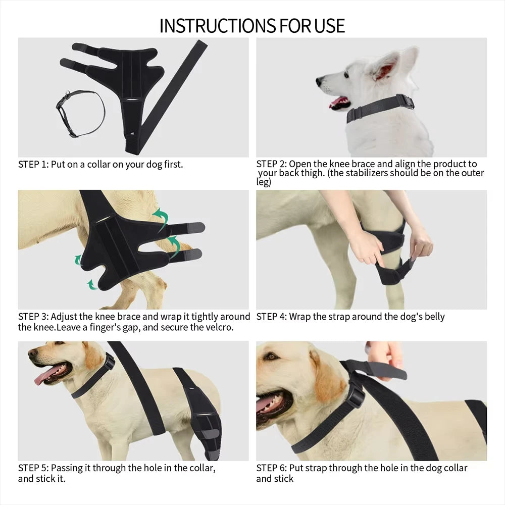 Pet Dog Knee Brace For Joint Pain