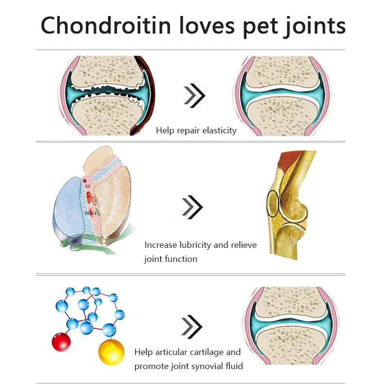 NEW Pet Dog Bone Strengthening