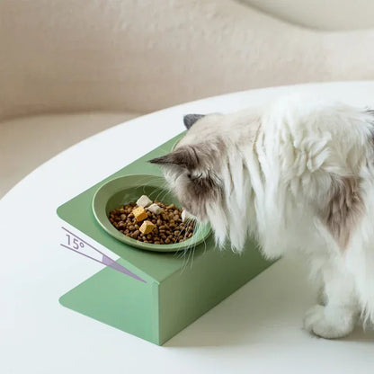 Pet Elevated Raised Food Water Bowls