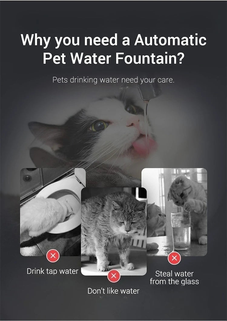Auto Smart Cat Water Fountain