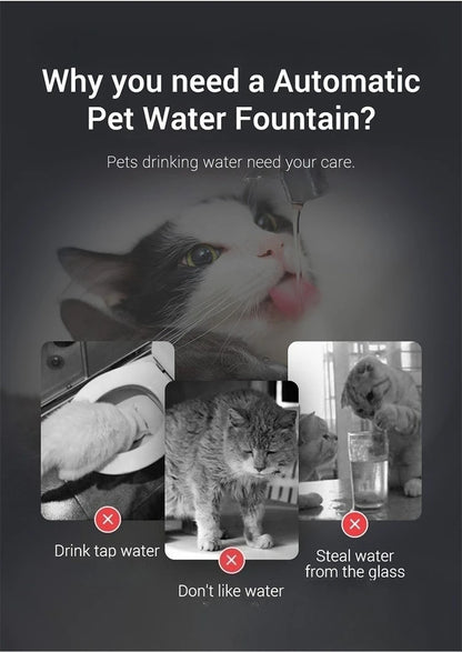 Auto Smart Cat Water Fountain