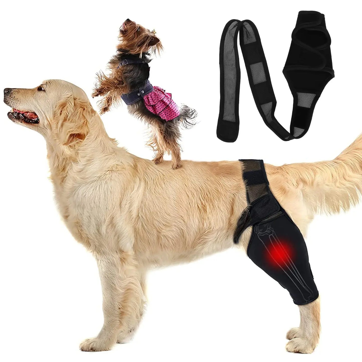Pet Dog Knee Brace For Joint Pain