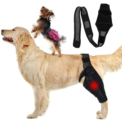 Pet Dog Knee Brace For Joint Pain