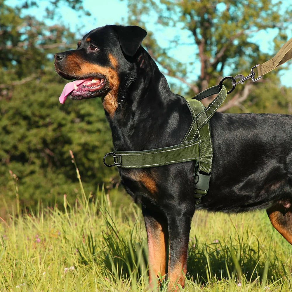 Reflective No-Pull Nylon Dog Harness