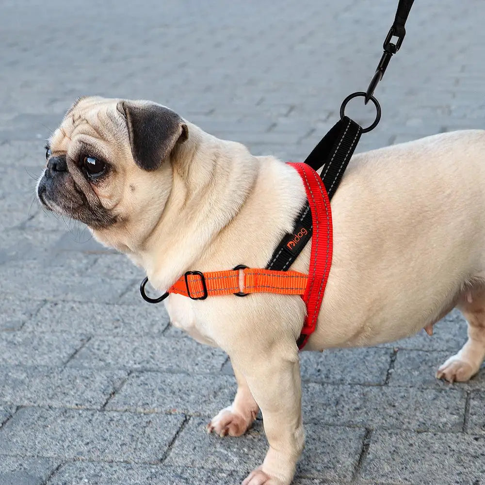Reflective No-Pull Dog Harness