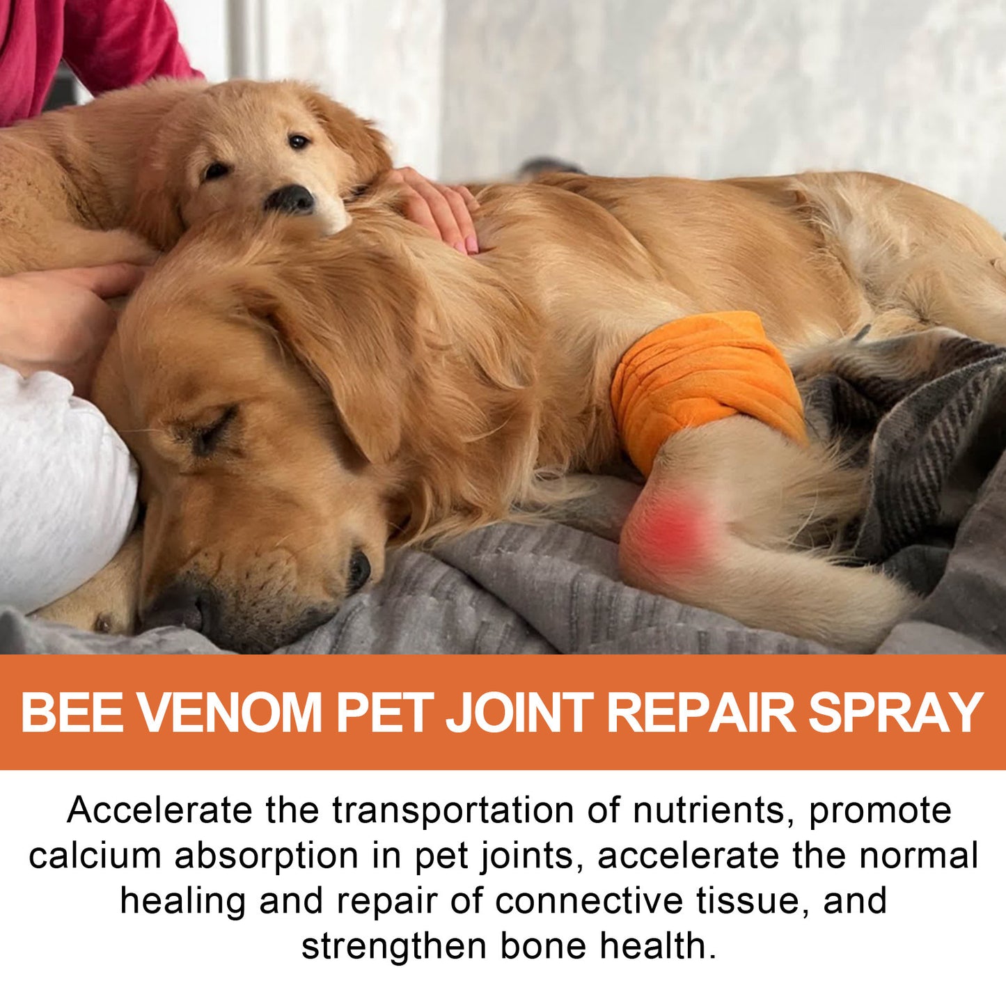 Pet Joint Repair Spray Bone Deformity