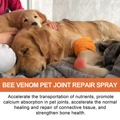 Pet Joint Repair Spray Bone Deformity