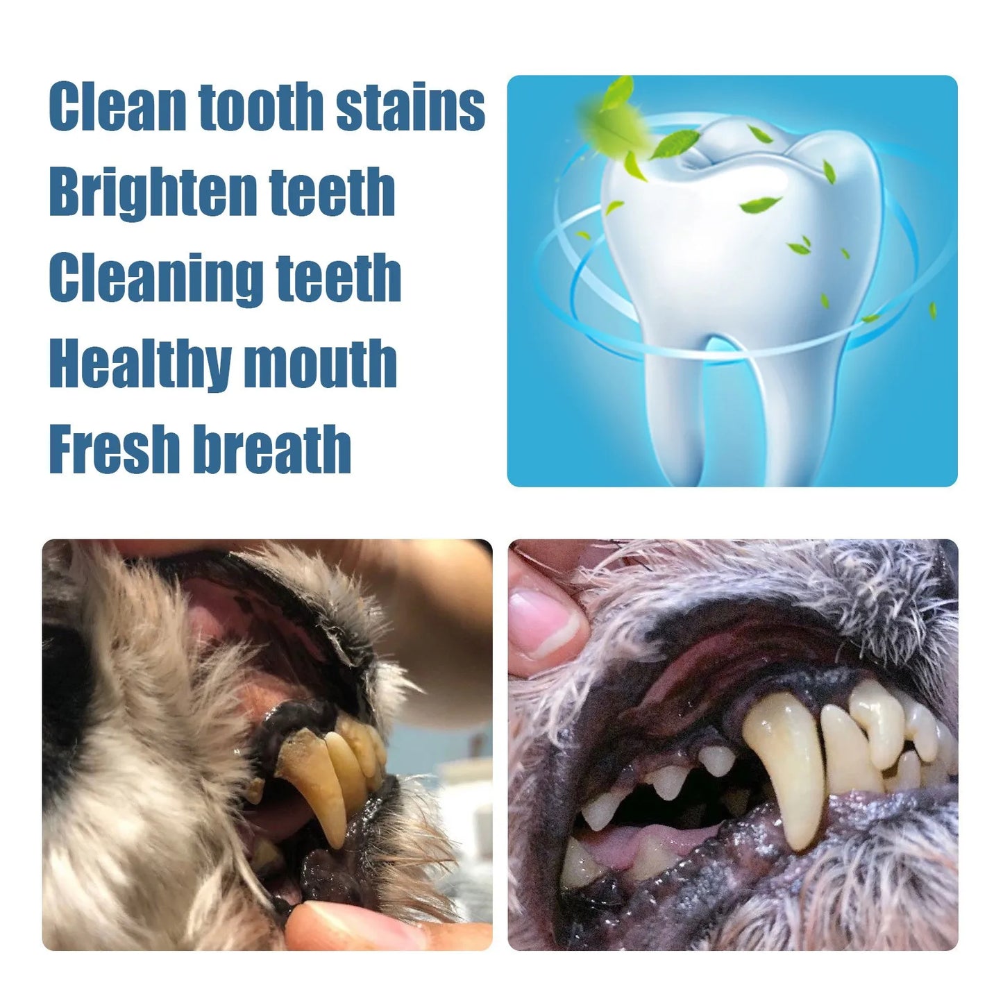 3 Ml Pet Teeth Cleaning Tools