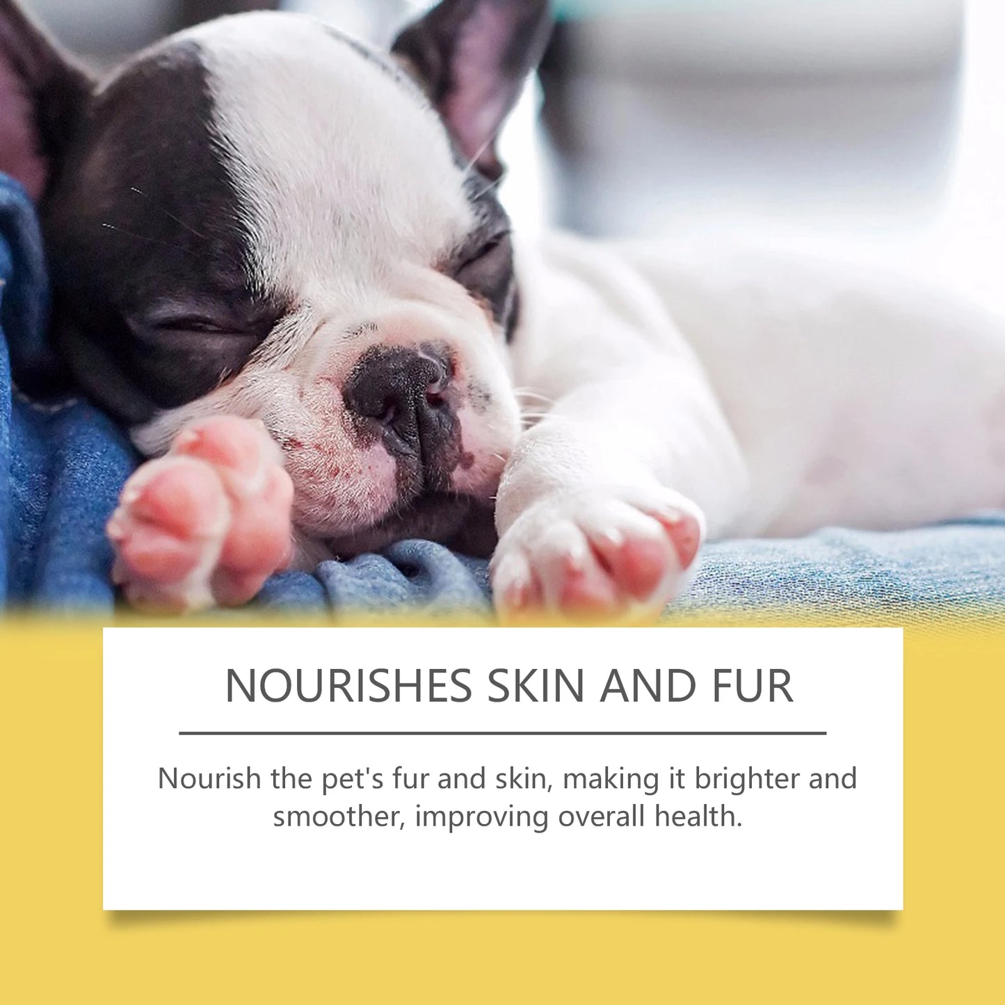 60ml Herbal Anti Inflammatory Pet Supplement