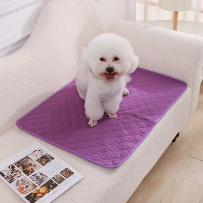 Dog Pee Pad Blanket Reusable