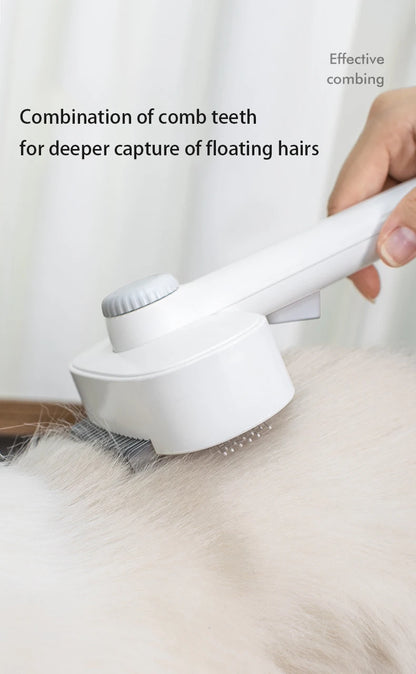 Dual-Sided Pet Hair Brush