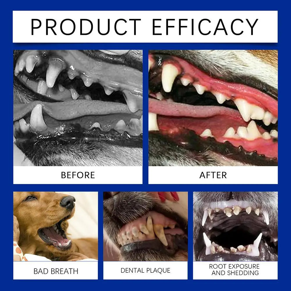 Dog Teeth Cleaning Powder