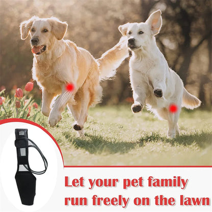 Pet Dog Knee Brace For Joint Pain