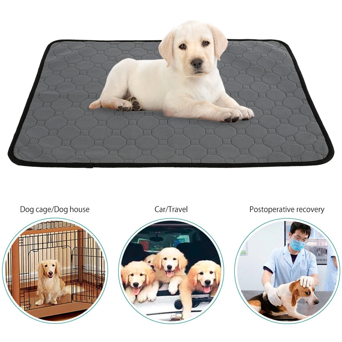 Reusable Puppy Training Pad