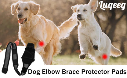Pet Dog Knee Brace For Joint Pain