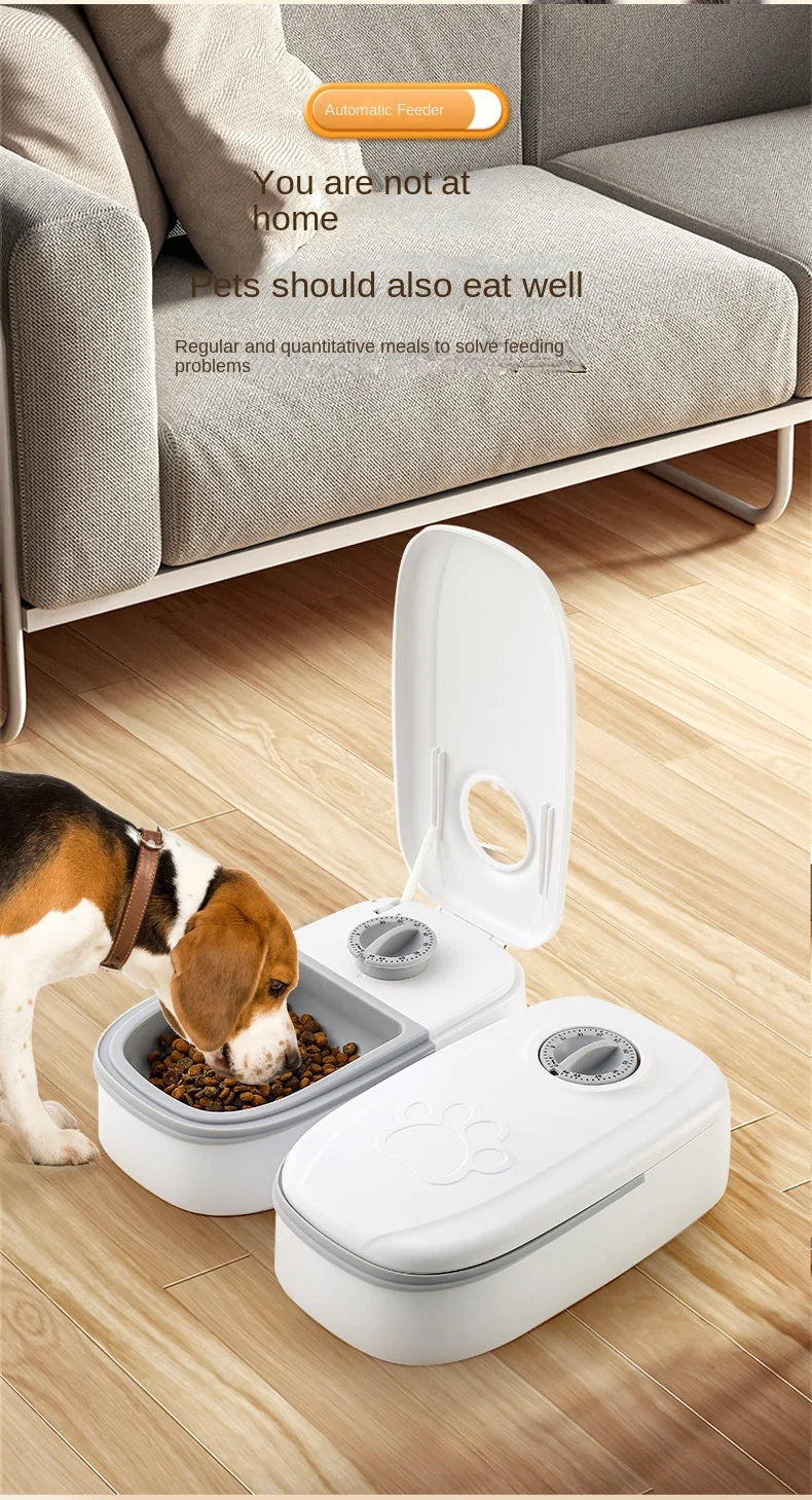 Single Automatic Pet Food Dispenser Bowl