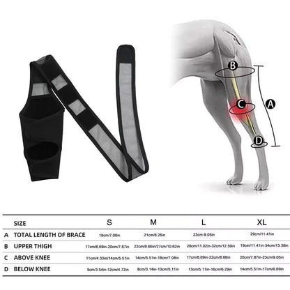 Pet Dog Knee Brace For Joint Pain