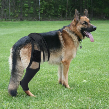 Pet Dog Knee Brace For Joint Pain