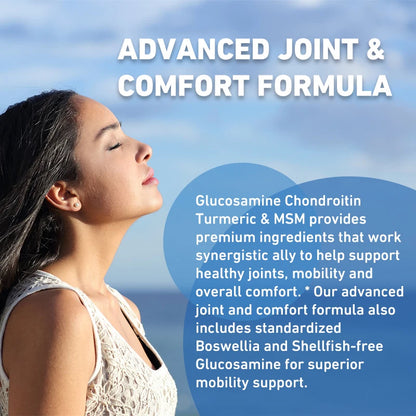 Glucosamine Chondroitin Turmeric & MSM