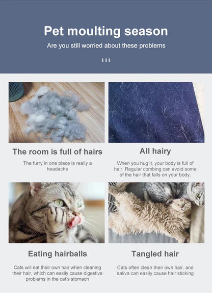 2-in-1 Pet Cleaning Brush