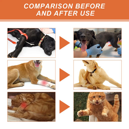 Pet Joint Repair Spray Bone Deformity