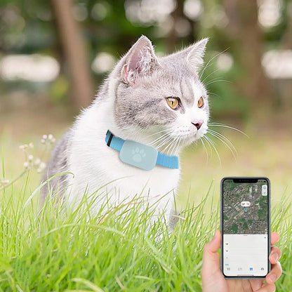 Pet GPS Collar