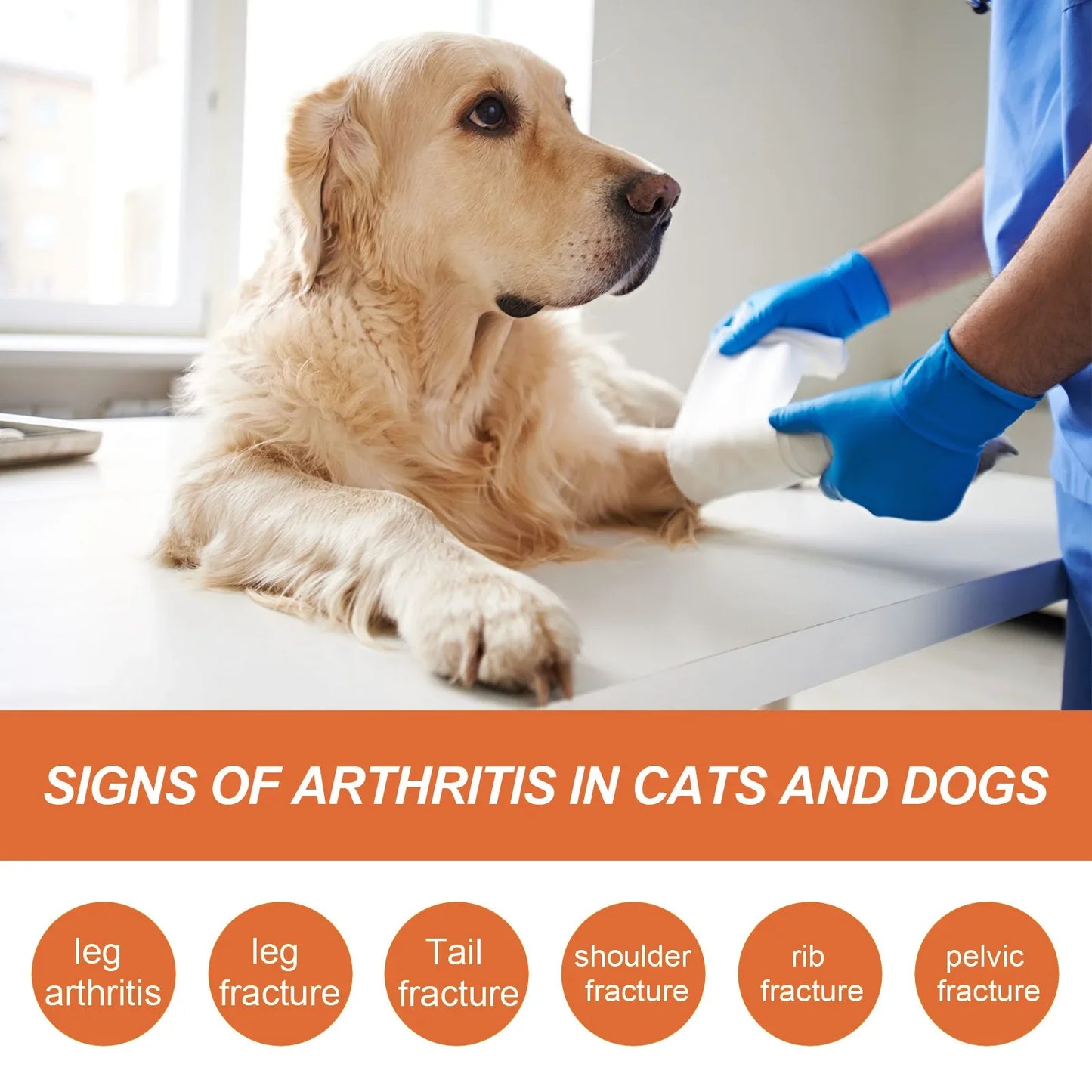 Pet Joint Repair Spray Bone Deformity