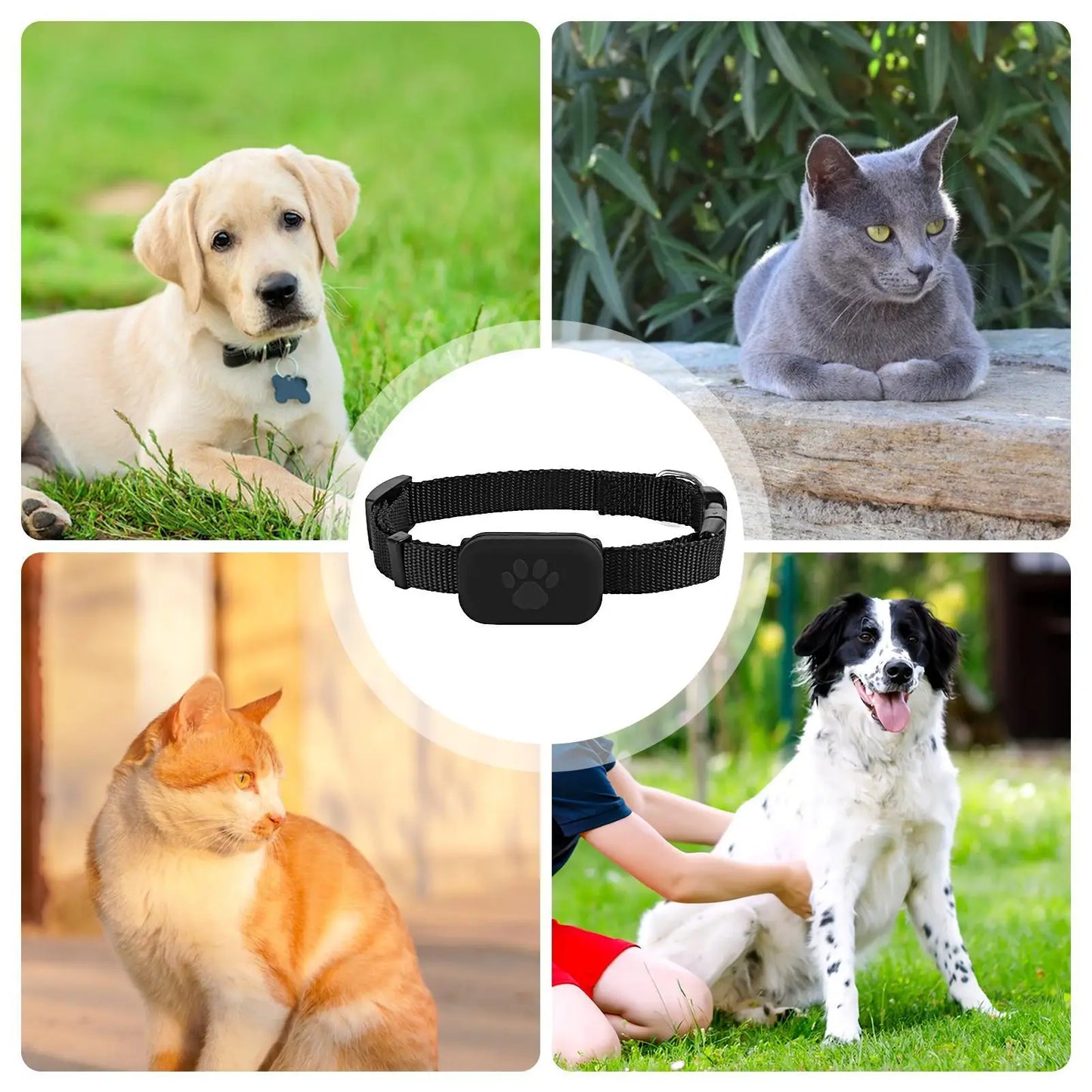 Multifunctional Pet Smart GPS Trackers