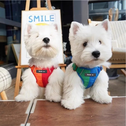 Reflective Dog Harness & Leash Set