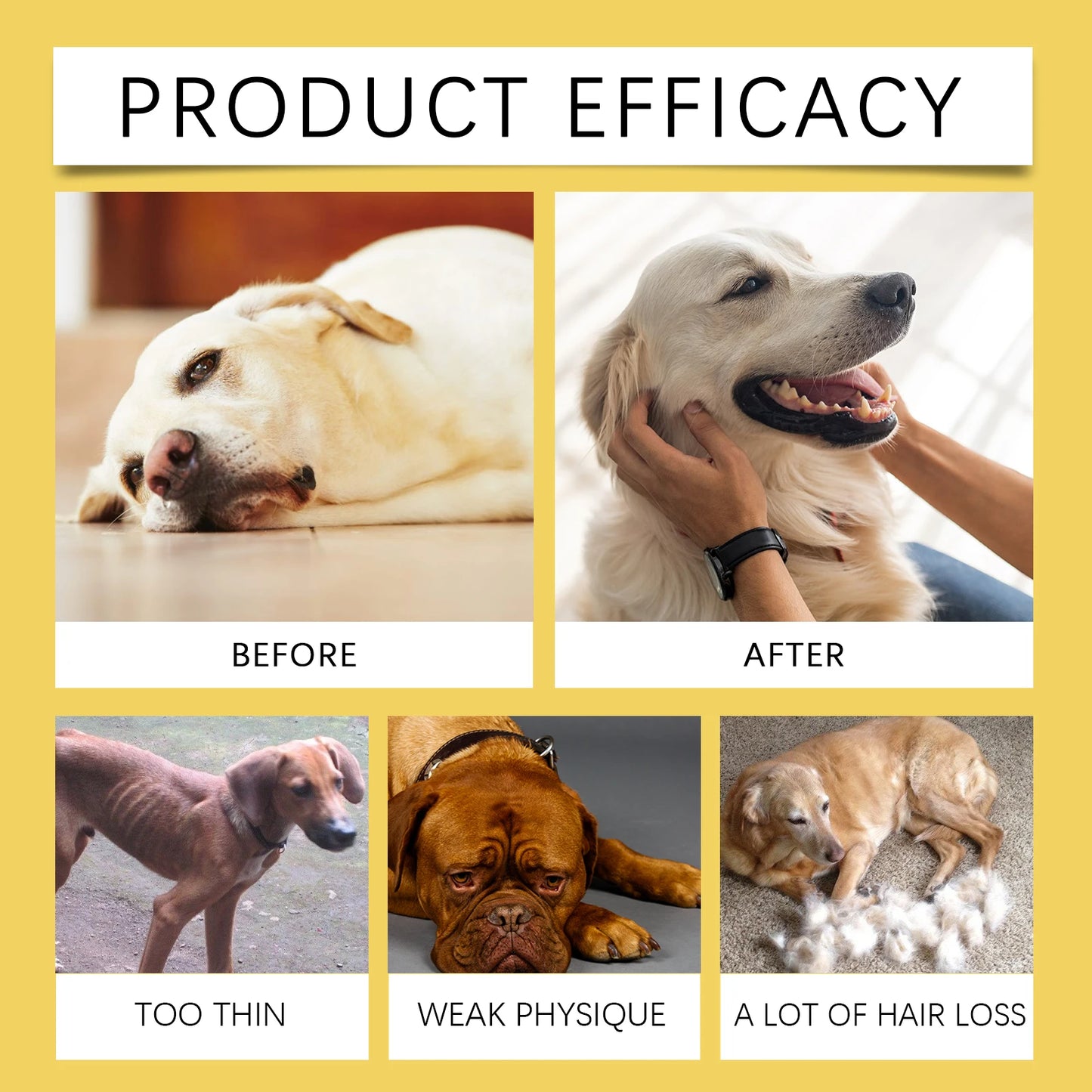 60ml Herbal Anti Inflammatory Pet Supplement