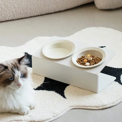 Pet Elevated Raised Food Water Bowls
