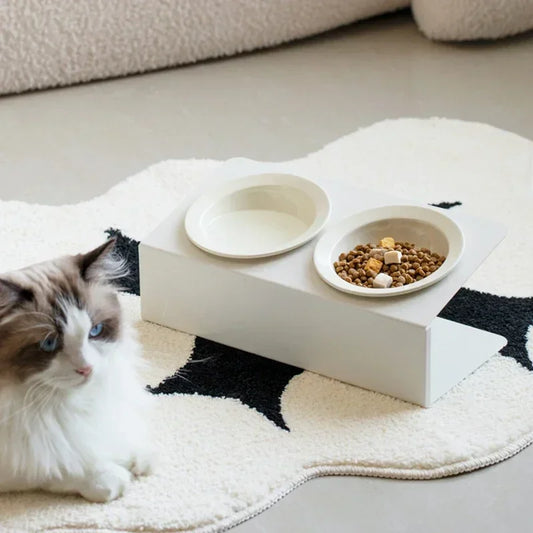 Pet Elevated Raised Food Water Bowls